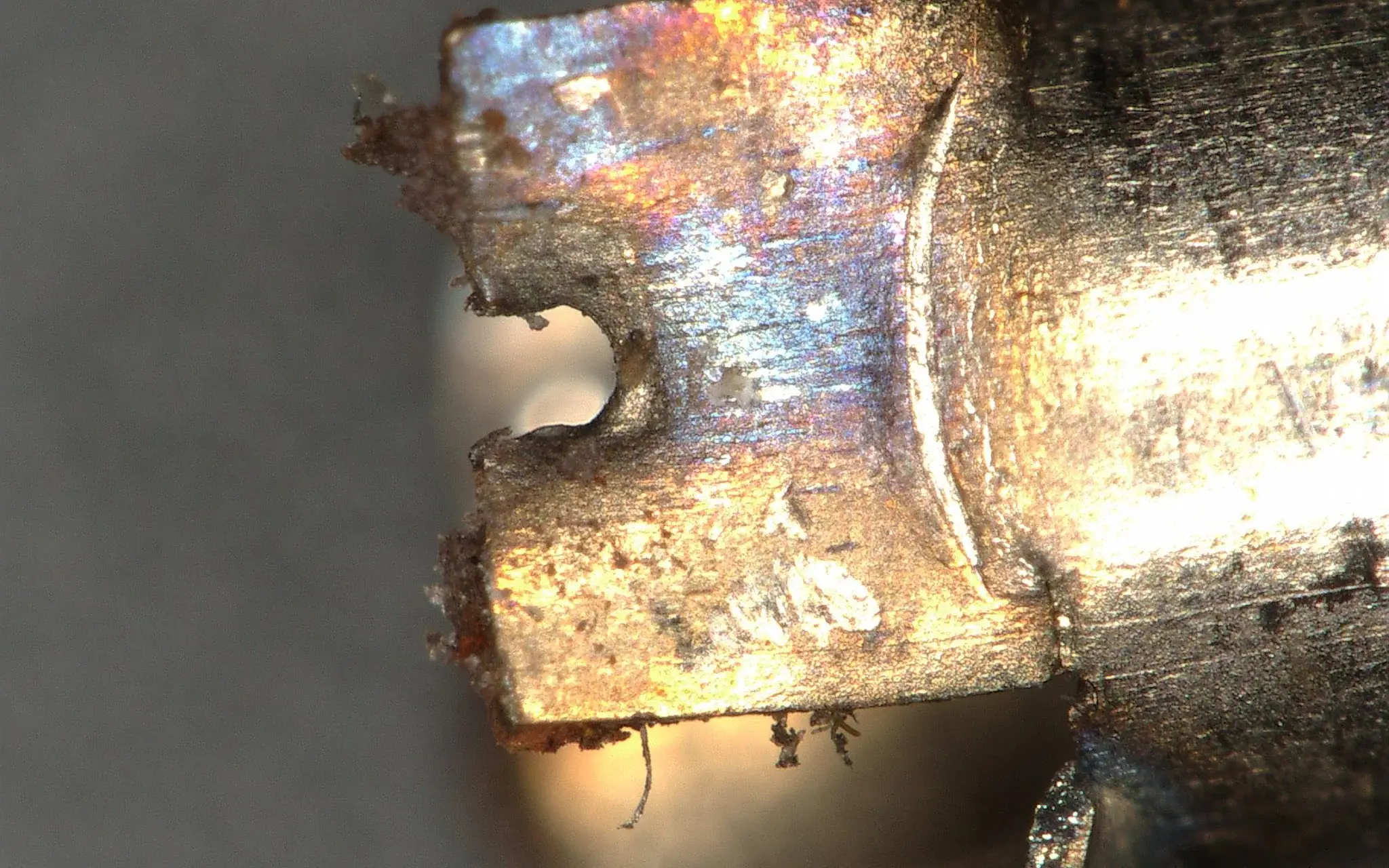 Clean magnified needle component detail for inspection and quality support